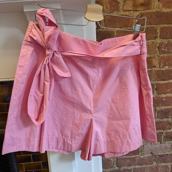 J. Crew Pants - NWT J. Crew Tie Wrap Pink Paper Bag Shorts 14